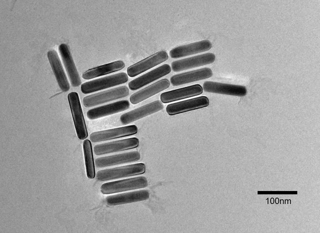 金纳米棒 TEM 形貌图（标尺 100 nm） - 康稳生物科技