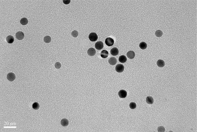 金纳米球 TEM 形貌图（标尺 20 nm） - 康稳生物科技